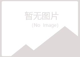 平顺县夏日化学有限公司